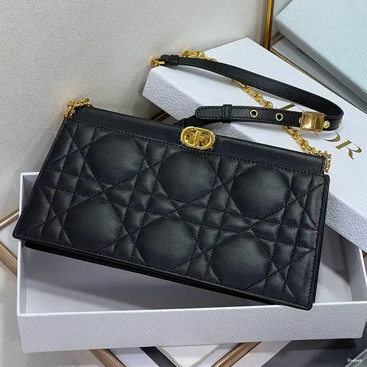 2311YA0126 Bags Dio 0814